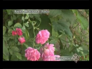 Нев’янучий цвіт (квітники києво печерської лаври)