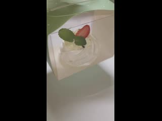 Sl mo vid 20191207 204951 mp4