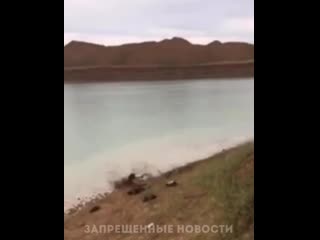 Видео от шапка мономаха