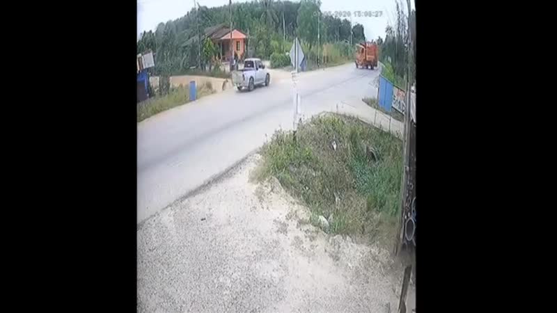 Напугали собакена