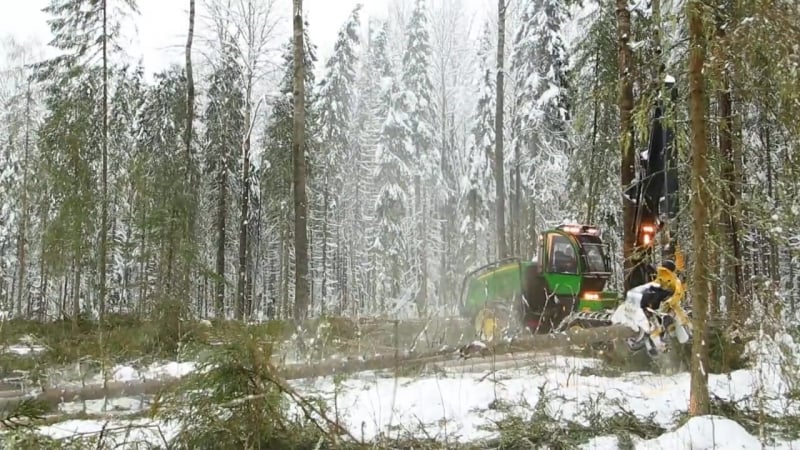 Группа компаний вологодский лес