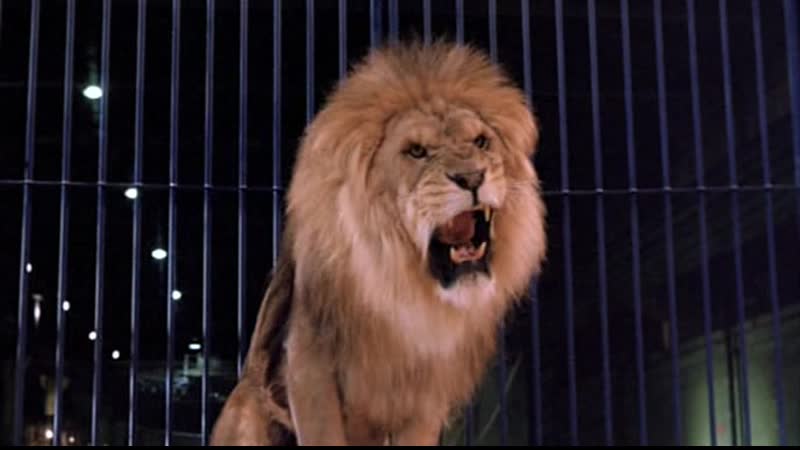 Розалина и ее львы (roselyne et les lions, 1989), режиссер жан жак бенекс