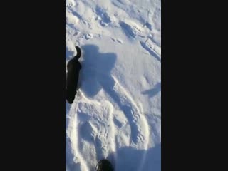 Наглое жадное молодые