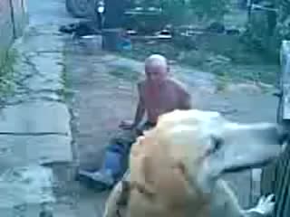Сука, давно так не ржал ))) бобик, іди на хуй !!! )))
