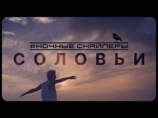 Ночные снайперы соловьи