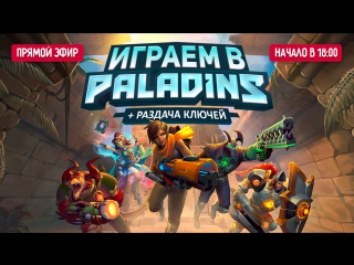 Играем в paladins