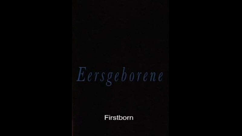 Первенец eersgeborene (firstborn) (2009) сша,юар