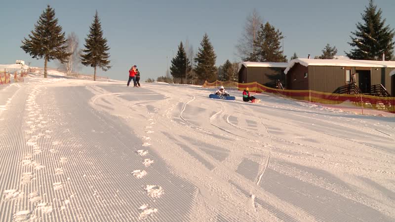 Президентские гранты