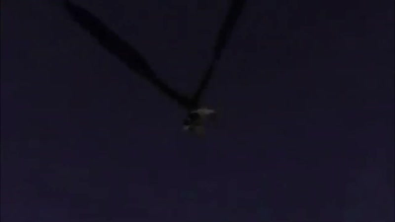 Прощай, отец жизнь пиздец | для вп | anomalocaris и emerald weapon