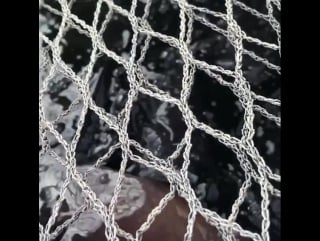 Learning about #aquaponics with these tilapia maki лондон 22 08 2017