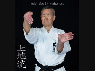 Uechi ryu karate do yukinobu shimabukuro sensei