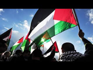 Live aus amman pro palästina protest