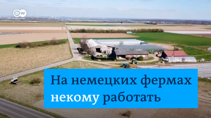 На немецких фермах некому работать