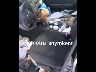 Помойка в машине 😆