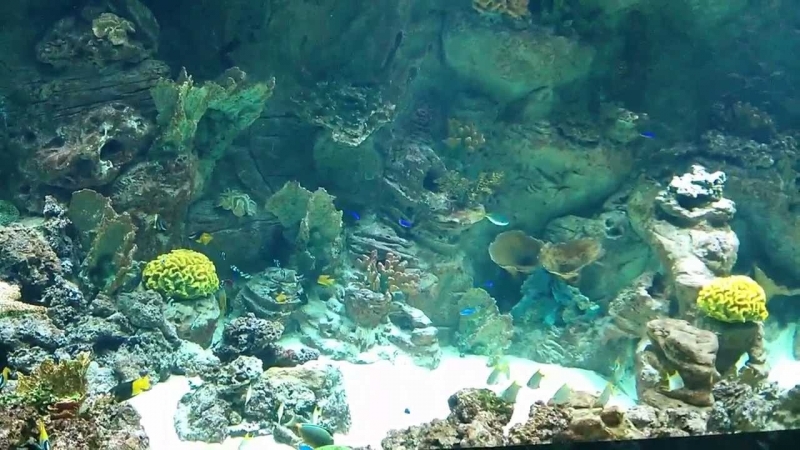 Мокрый привет из белгородского трц мега гринн )))