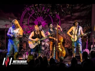 Steve`n`seagulls live@trans musicales (2015)