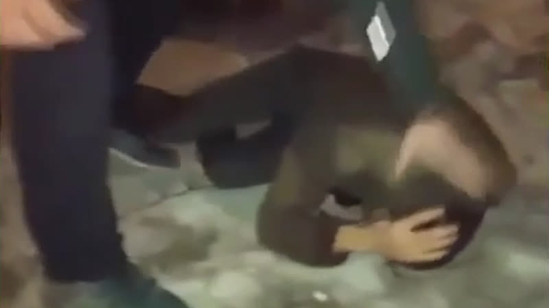 Чеченец мстит интернет бойцу за чеченку real video