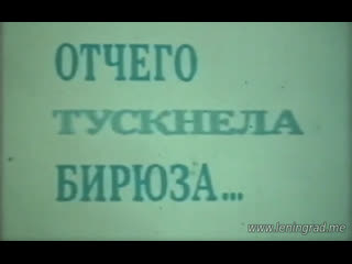 Отчего тускнела бирюза (1985) киевнаучфильм