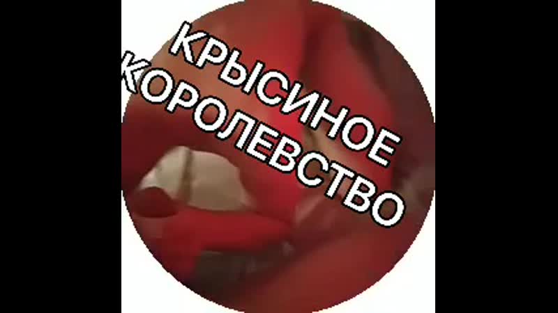 Андрей ноилс тиктокер гей трах 1