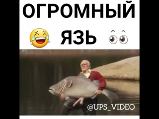 Огромный язь