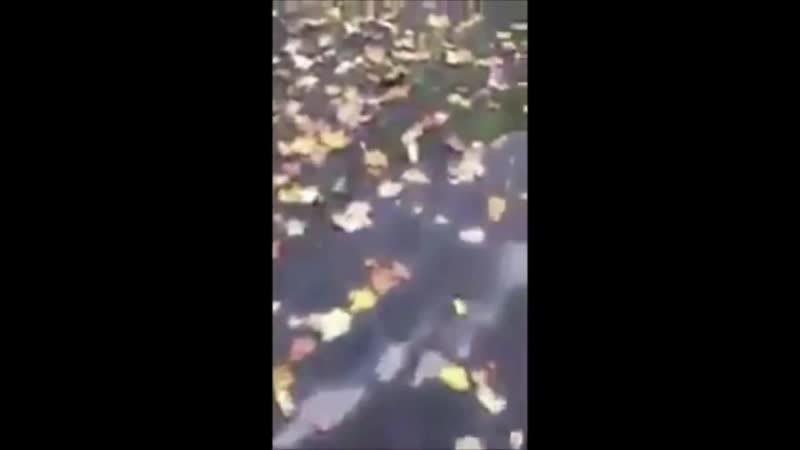 [v s mobi]слава украине, аааа (прикол с алкашом) mp4