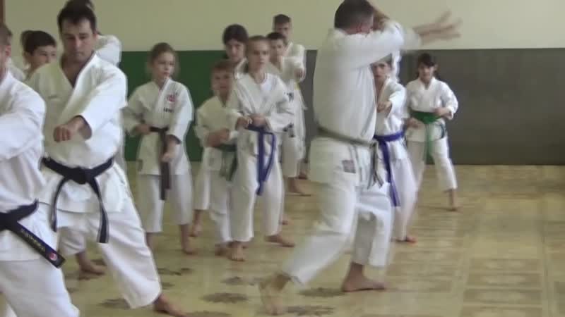 Shotokan kata hyakuhachiho