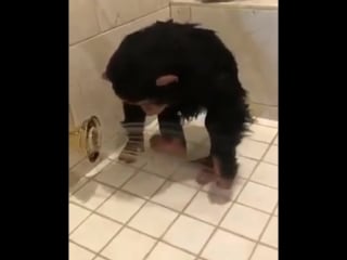 Утро настало идём в душ