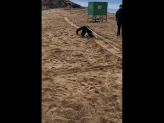 Утренняя тренироа бойцов «крепости» шамиля амирова, шамиля мичилова и шарамазана чупанова