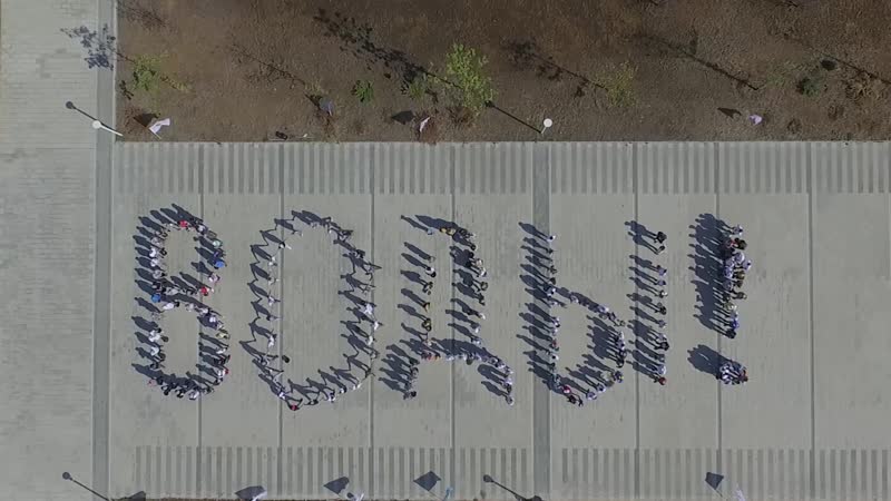 Спасем погибающую аллею возле стадиона «ростов арена»