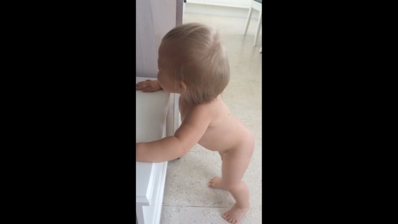 Попка пляшет