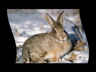 Жесткий торч оприходовал маленькую шмоньку