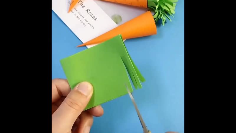 Моркоа аппликация