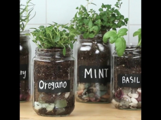 Мини грядка на кухне