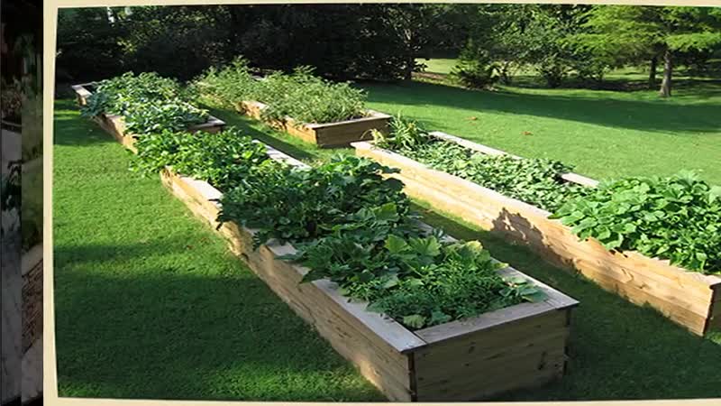 Небольшая подборка высоких грядок