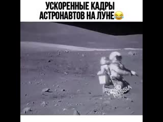 Прикольный видосик