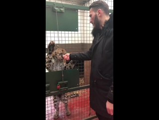 Sead kolasinac and tiger