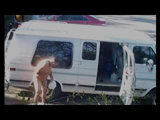 Trail camera in central park (bordan bath)