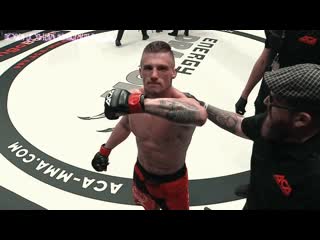 5 боёв, 5 авантюристов жаркий месяц в north lion team management