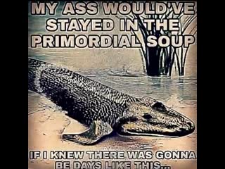 My ass wouldve stayed in the primordial soup