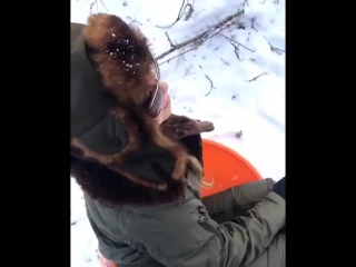 Mariah carey"that's fun " 😂😘⛷️🌨️ #sledding #demkids