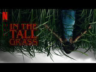 В высокой траве in the tall grass