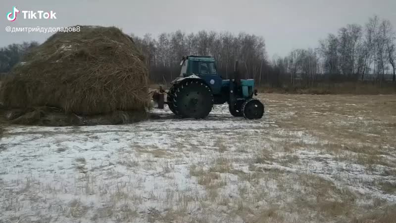 Трудяга тащит стог сена mp4