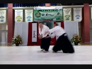 Ulf evenas aikido centras shihan ulf evenås 7 dan in mexico