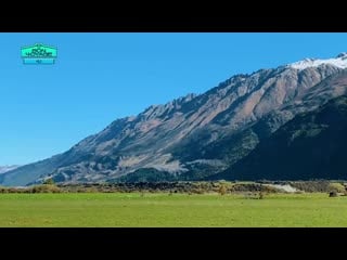 Who needs comedians when u have vmin | introidol