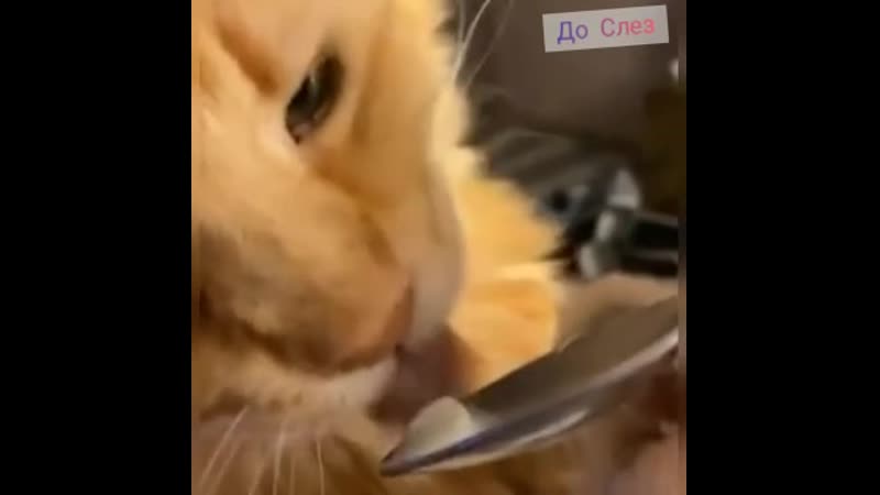 Ммм, мороженка😜😂