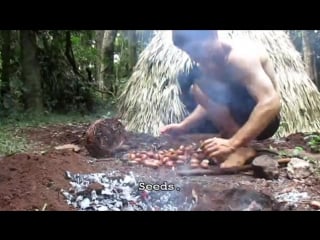 Making poisonous black bean safe to eat (moreton bay chestnut)