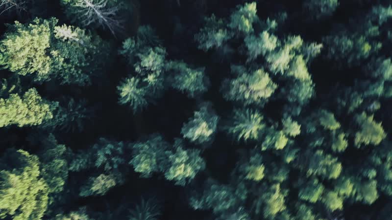 Weplay! bukovel minor