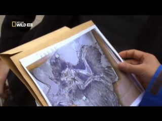 С точки зрения науки 137 знакомьтесь динозавры