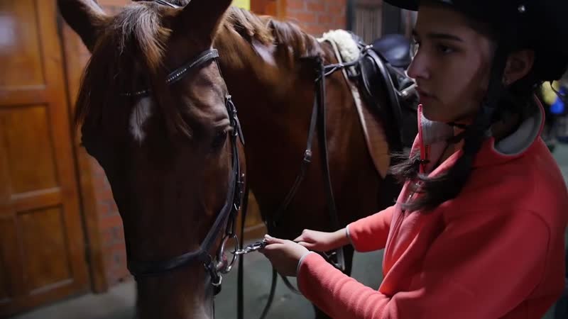 Урок верховой езды школа кино и телевидения шкит урал(1)