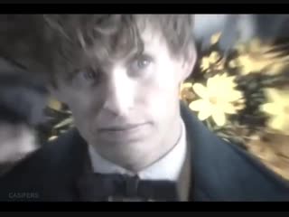 Newt scamander vine edit